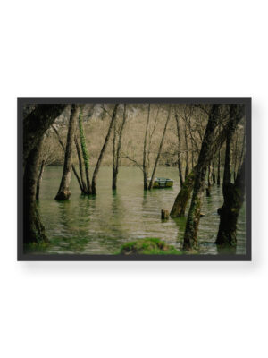 Serenity on the Water